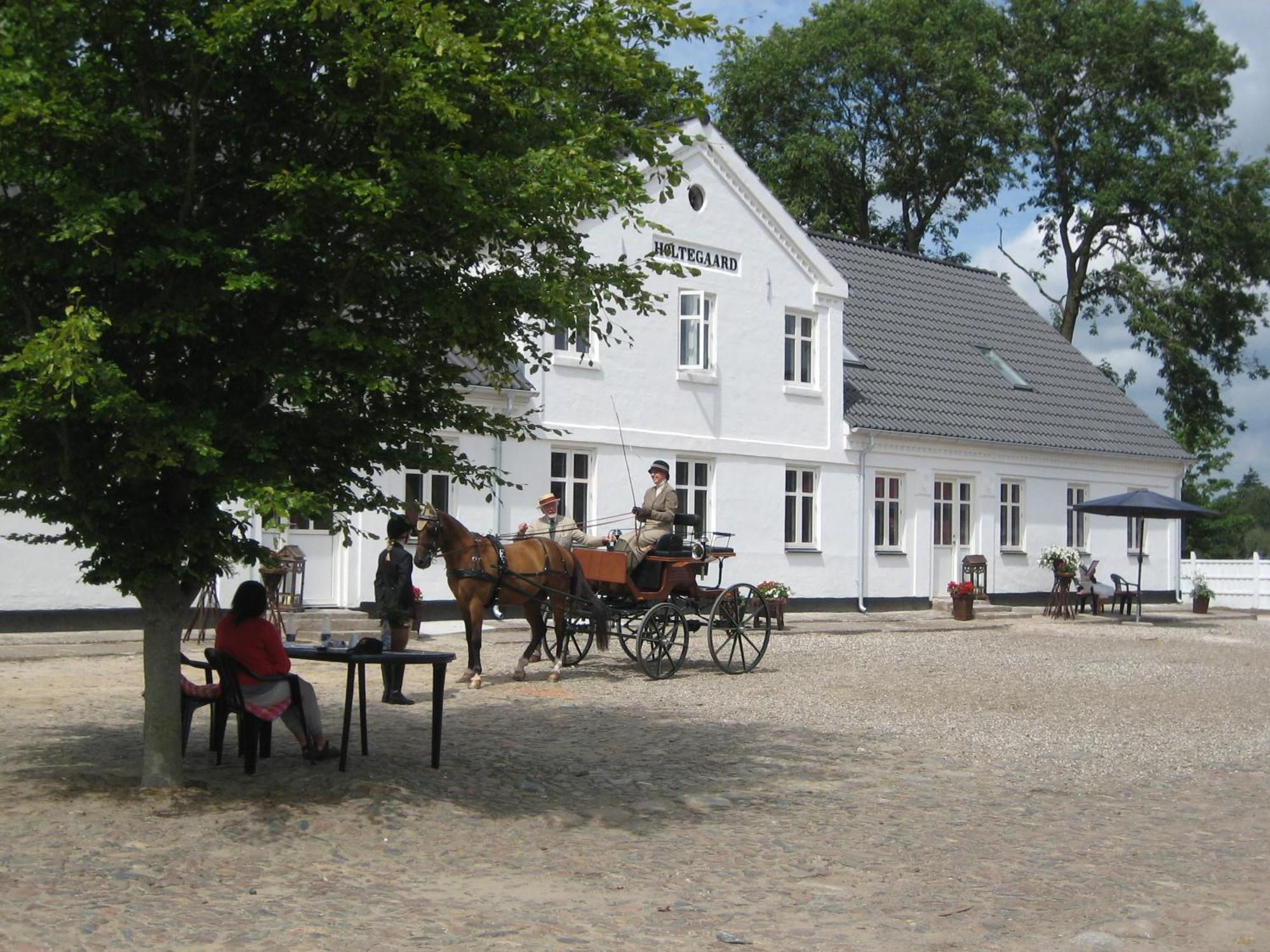 Holtegaard Bed & Breakfast Dronninglund Exterior foto
